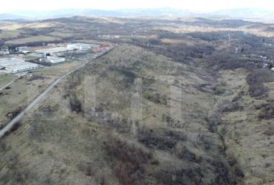 Teren Extravilan Valenii de Munte 11931 mp - 1