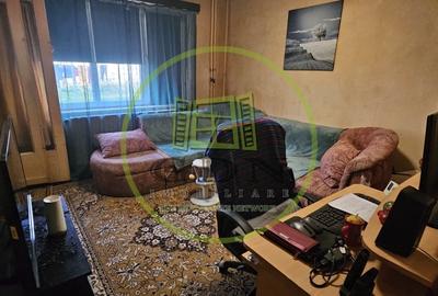 Apartament cu 2 camere decomandat, mobilat în Brazda lui Novac - 3