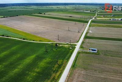 COMISION 0% Teren intravilan 40.600 mp cu front de 84,5 ml, zona Bucovat - 7