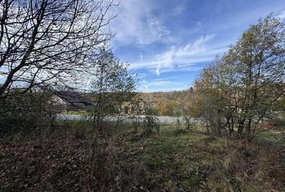 TEREN INTRAVILAN 13167 MP BUGHEA DE SUS ARGES - 12