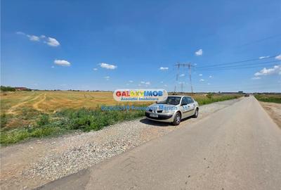 Teren Construcții intravilan de 24995 mp, în Clinceni - 21