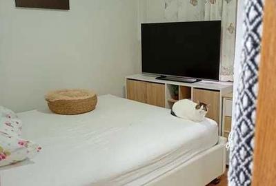 Apartament cu 2 camere decomandat în Sălaj - 6
