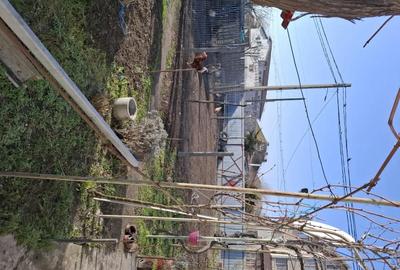 Casă cu 3 camere cu Teren 650 Mp în Sfântu Gheorghe - 8