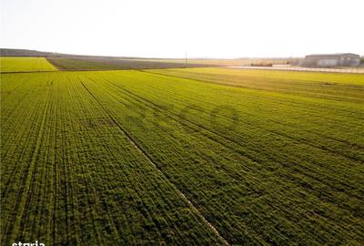 Spațiu comercial, în Biharia - 4