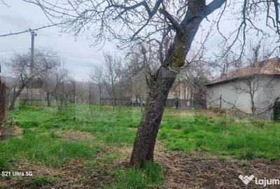 Teren în Scorțeni - 12