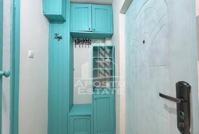 Garsoniera renovata, etaj intermediar,  zona Lipovei - 5