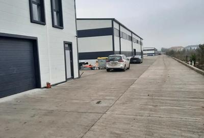 Hala de inchiriat - 3