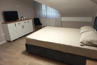 Mosie de vanzare in Plesoiu, Olt, direct de la proprietar - 5