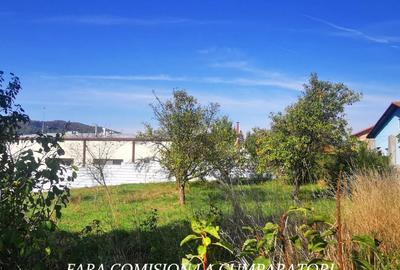 VLADESTI - TEREN 1174 MP - 8