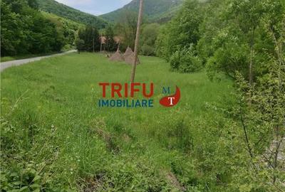 Teren de 5542 mp, în Galda de Jos - 5