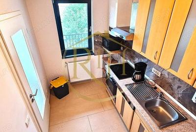Apartament cu 2 camere premium de inchiriat zona Buziasului - 12