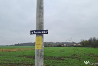 Teren de 3000 mp, în Brănești - 1