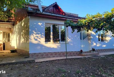 Casă cu 3 camere în Pestișu Mic - 12