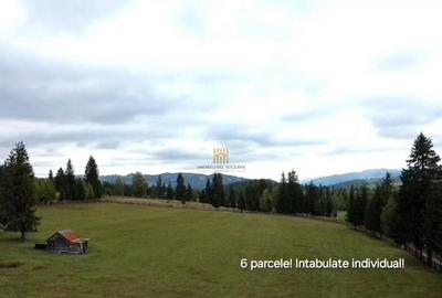 Teren 2804 mp, la munte! In Bucovina Fundu Moldovei! - 4