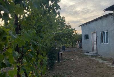 Casă cu 5 camere în Robănești - 5