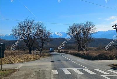 Teren pretabil investitie in Daia judet Sibiu - 15