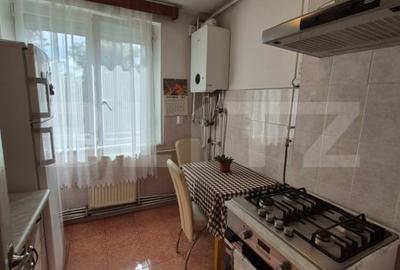 Apartament 4 camere, ultracentral, vedere superba, Deva - 12