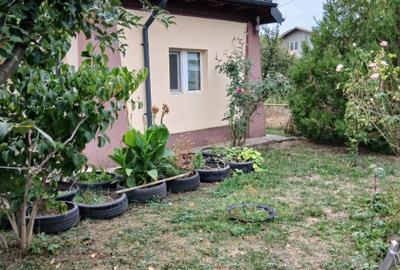 Casă cu 4 camere cu Teren 836 Mp în Ghighiu