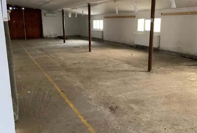 Spațiu comercial, de 3,150 mp, în Sebiș - 5