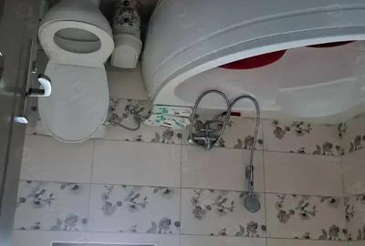 Vind casa urgenin Ceuasu de Cimpie 4 camera, living+bucatarie, bucataria mica,2 bai,2 garai,2 terasa - 5