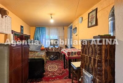 Casă cu 3 camere în Viile Noi - 10