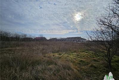 Teren intravilan Harsova - 5