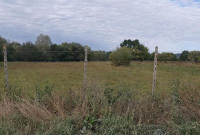 Teren de 4712 mp, în Dumbrăveni - 3