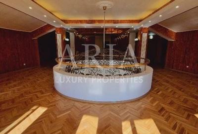 VANZARE VILA | HALA IN VLADICEASCA | SNAGOV | 10.500 MP TEREN - 11