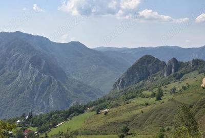 Teren de 4719 mp, în Râmeț - 5