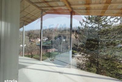 Casă cu 5 camere cu Teren 4000 Mp în Răzvad - 1