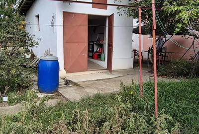 Casă cu 3 camere în Mânăstirea - 1