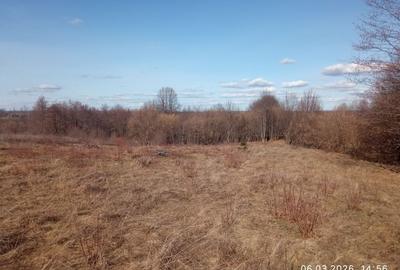 Teren de 5000 mp, în Vicovu de Sus - 4