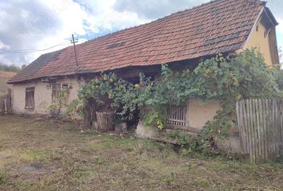 Vand casa in Nada? - 6