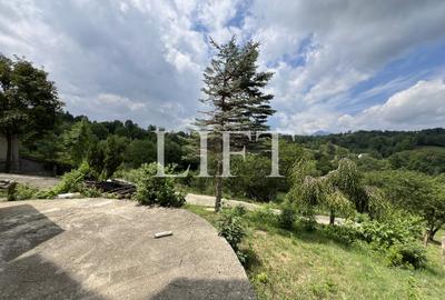 Casă individuală cu 8 camere cu Teren 2308 Mp în Sohodol - 10