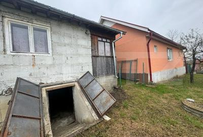 Casa individuala, 3300 mp teren, zona Sintereag - 5