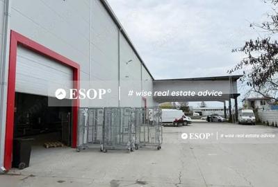 Spațiu comercial, de 2,450 mp, în Mogoșoaia - 11