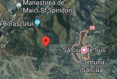 Teren de 1500 mp, în Sălciua - 6