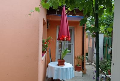 Casă individuală cu 3 camere cu Canalizare în Coiciu - 2