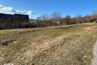 Teren de 800 mp, în Baciu