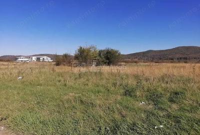 Teren intravilan 3000 mp constructii industriale - 2