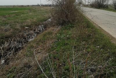 Teren agricol, extravilan com Mârșa jud Giurgiu. - 2