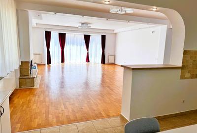 Vila cu piscina Iancu Nicolae - 3