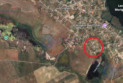 ID 7858 TEREN DE VANZARE MURIGHIOL, DELTA DUNARII - 3