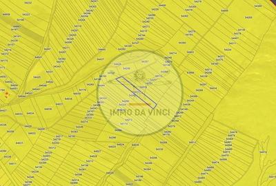 Teren de 38000 mp, în Borșa - 4