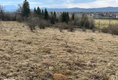 Teren de 6000 mp, în Cristian