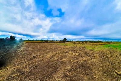 Teren Intravilan Bradu Arges 646 mp - 2