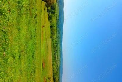 Teren în Podeni - 9