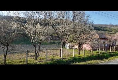 Casă cu 2 camere în Dosu Bricii