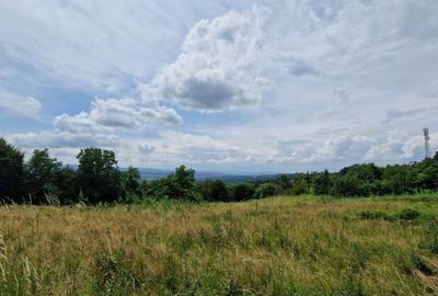 Teren Baia Sprie: 5143 mp, Parcelabil, Comision 0! - 7