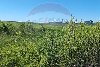 Teren agricol extravilan de 11132 mp, în Săcădat - 3